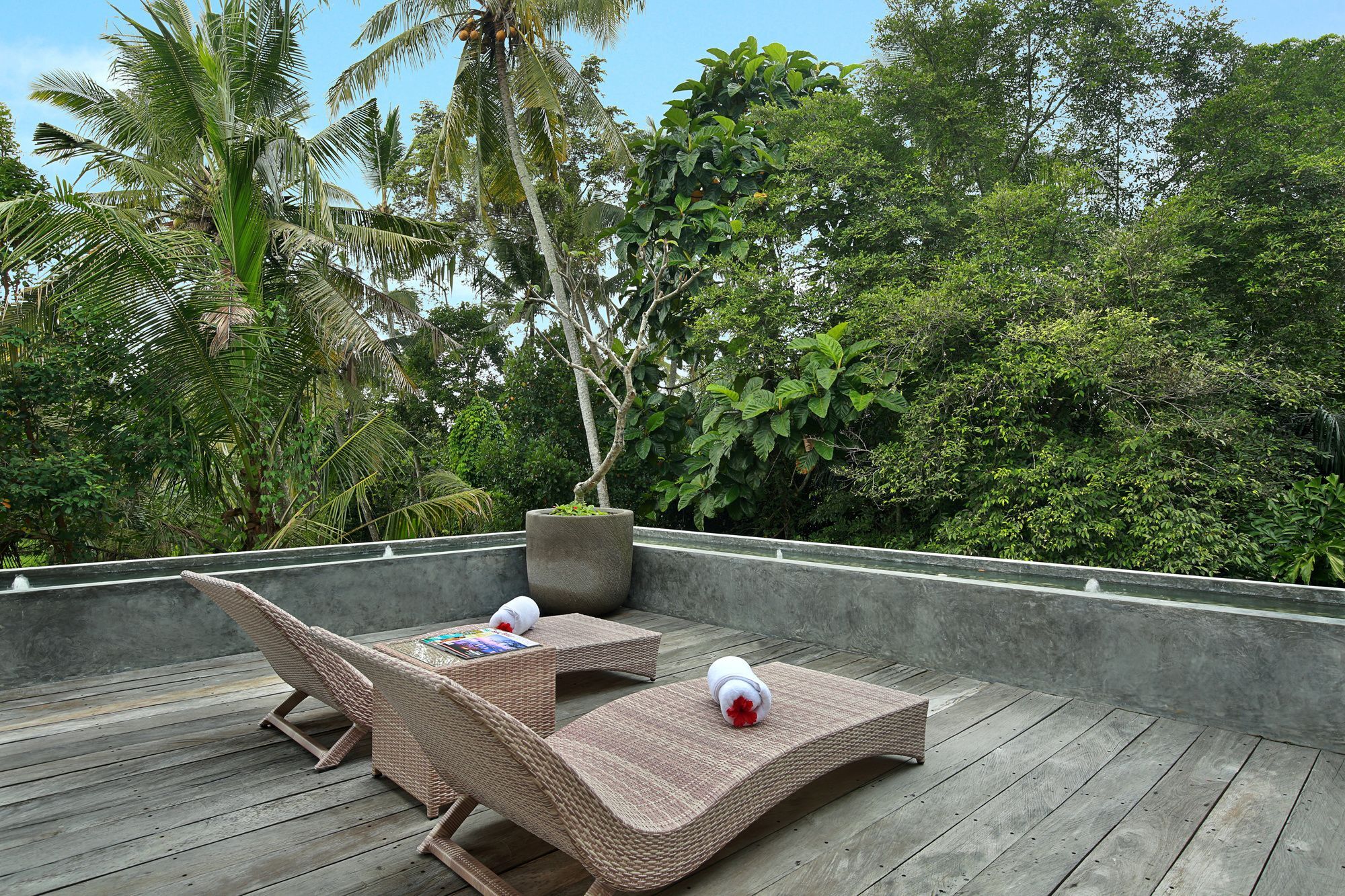 Sativa With Private Pool